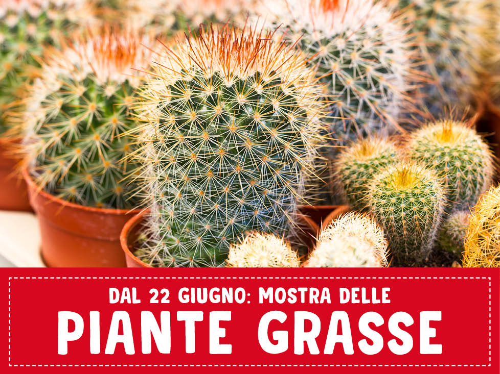 Mostra Piante Grasse