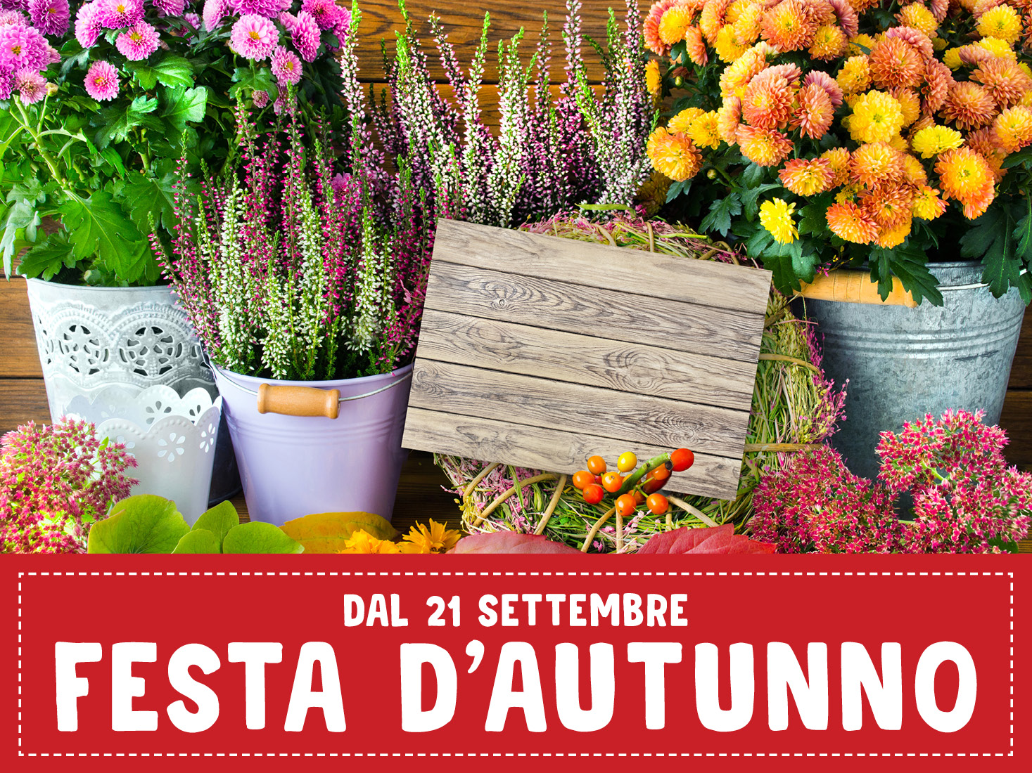 Festa d'Autunno