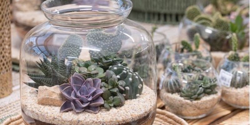Workshop terrarium