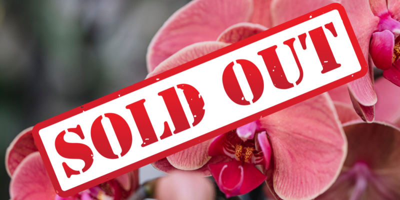 orchidee-soldout